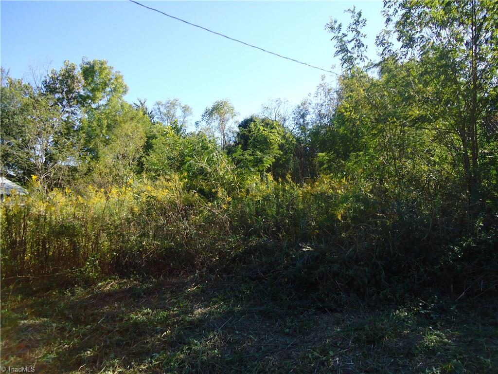 0 Cedar Square Road Archdale, NC 27263 - Photo 2 of 3