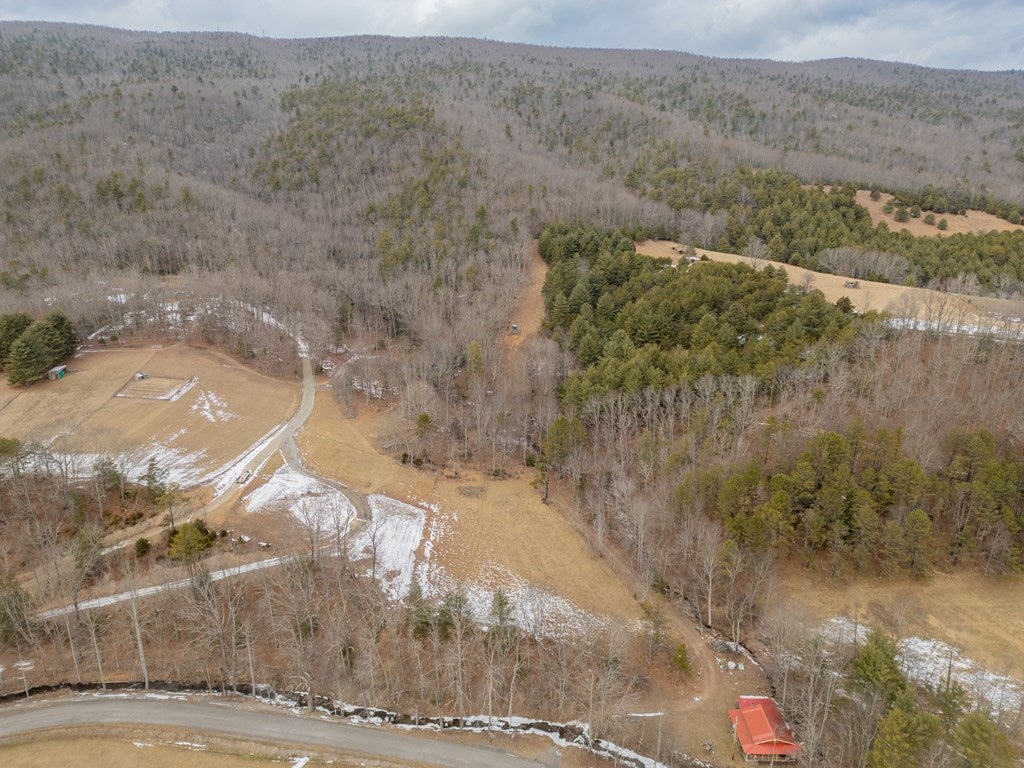 Tbd Spur Branch Road, Unit 4 Dublin, VA 24084 - Photo 83 of 85 Gallery Image 83