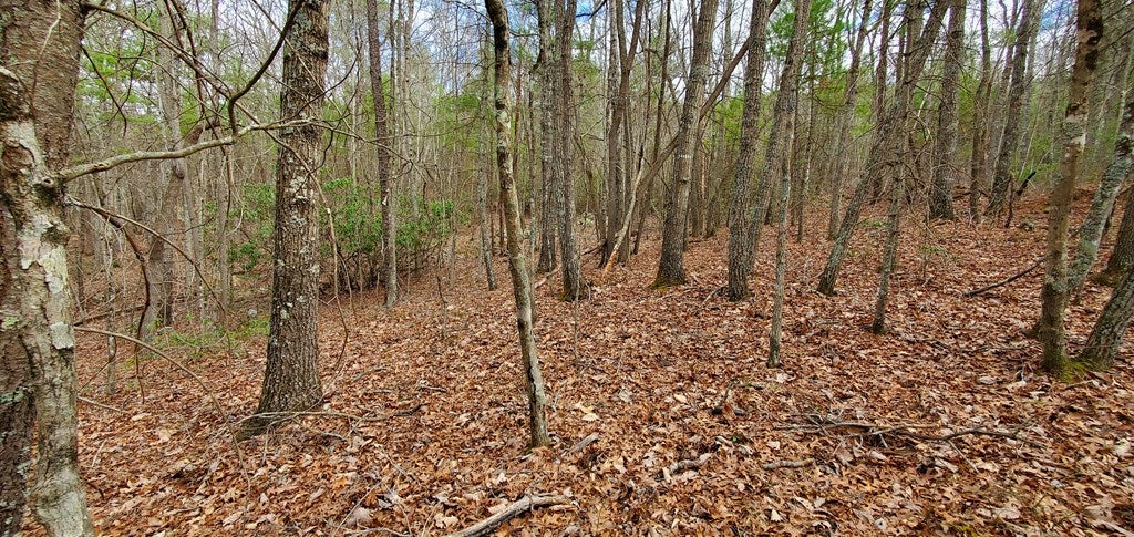 24.5-ac Alleghany Road Max Meadows, VA 24360 - Photo 21 of 38 Gallery Image 21