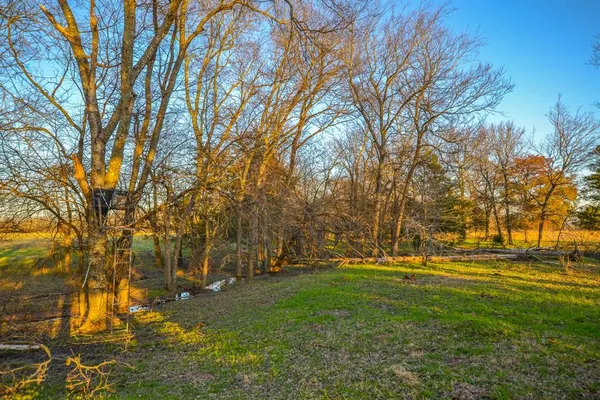 a view of yard with tree