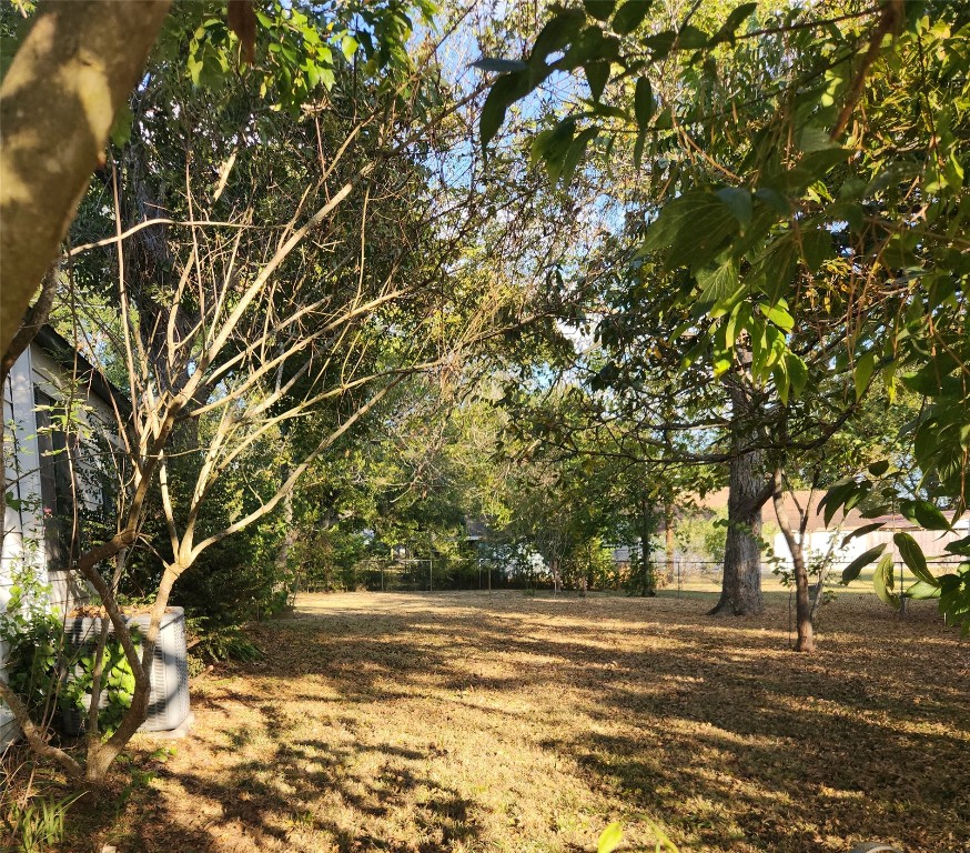 1400 Dyer Avenue Rosenberg, TX 77471 - Photo 4 of 20 a view of a yard with plants and trees