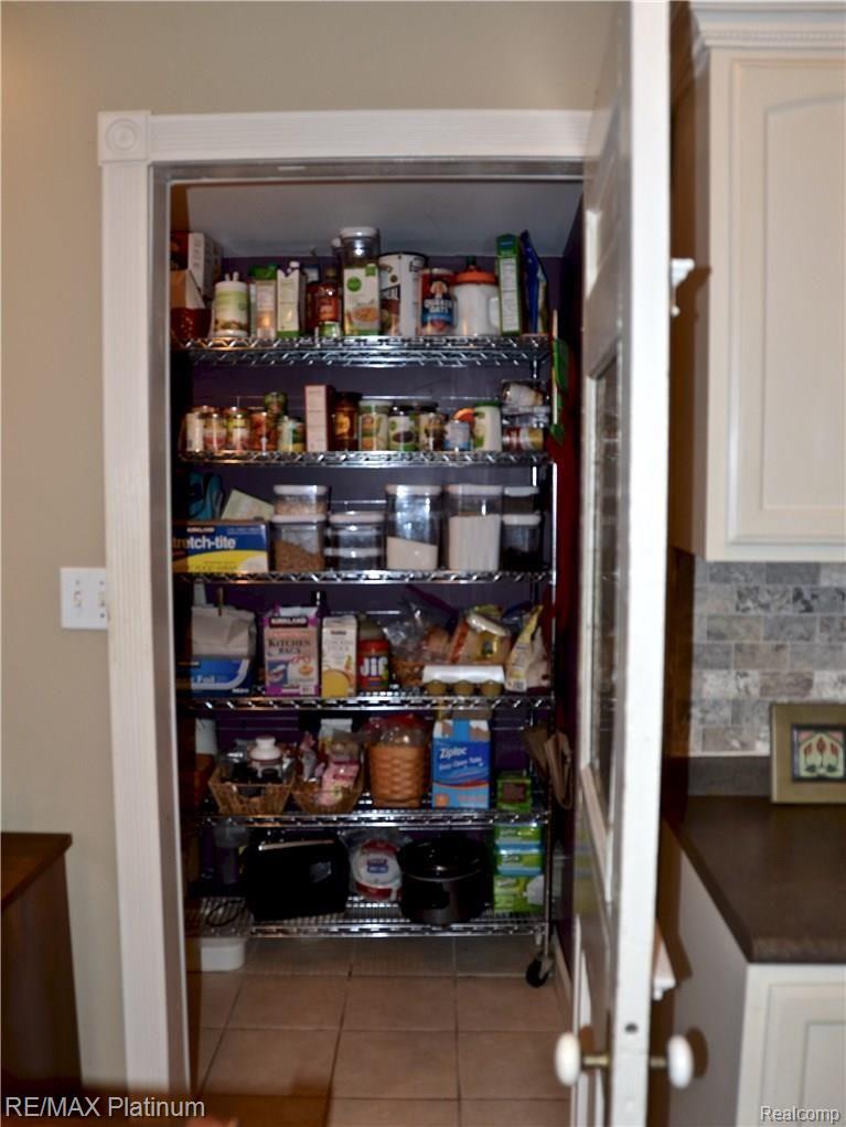 17860 Garvey Road Chelsea, MI 48118 - Photo 15 of 31 Pantry