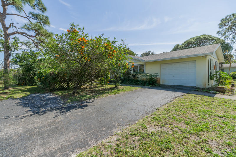 217 West Riverside Drive Jupiter, FL 33469 - Photo 6 of 7 06_fruit-trees_217 W Riverside Drive