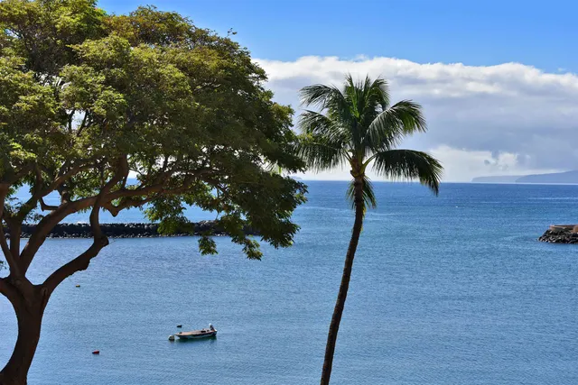 a view of outdoor space with yard