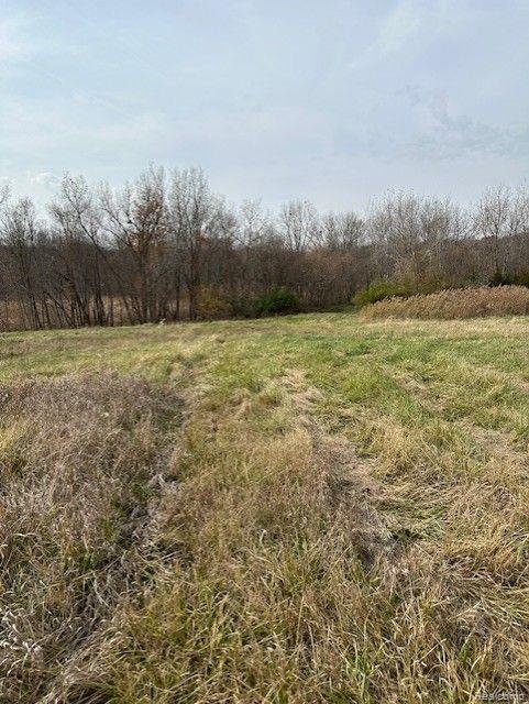 8438 Jordan Road Grand Blanc, MI 48439 - Photo 28 of 32