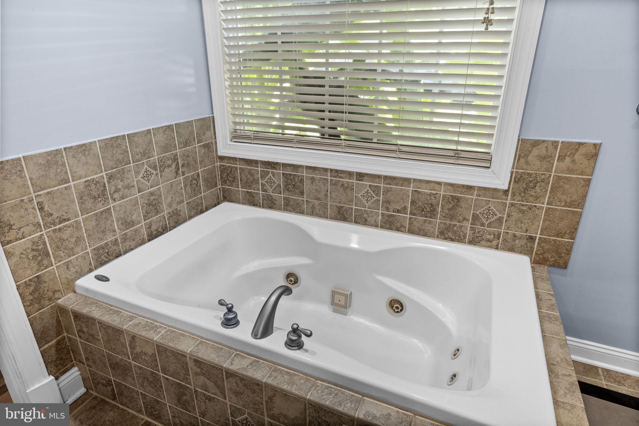 621 Ridgemont Drive Louisa, VA 23093 - Photo 28 of 81 Jetted/Soaking Tub