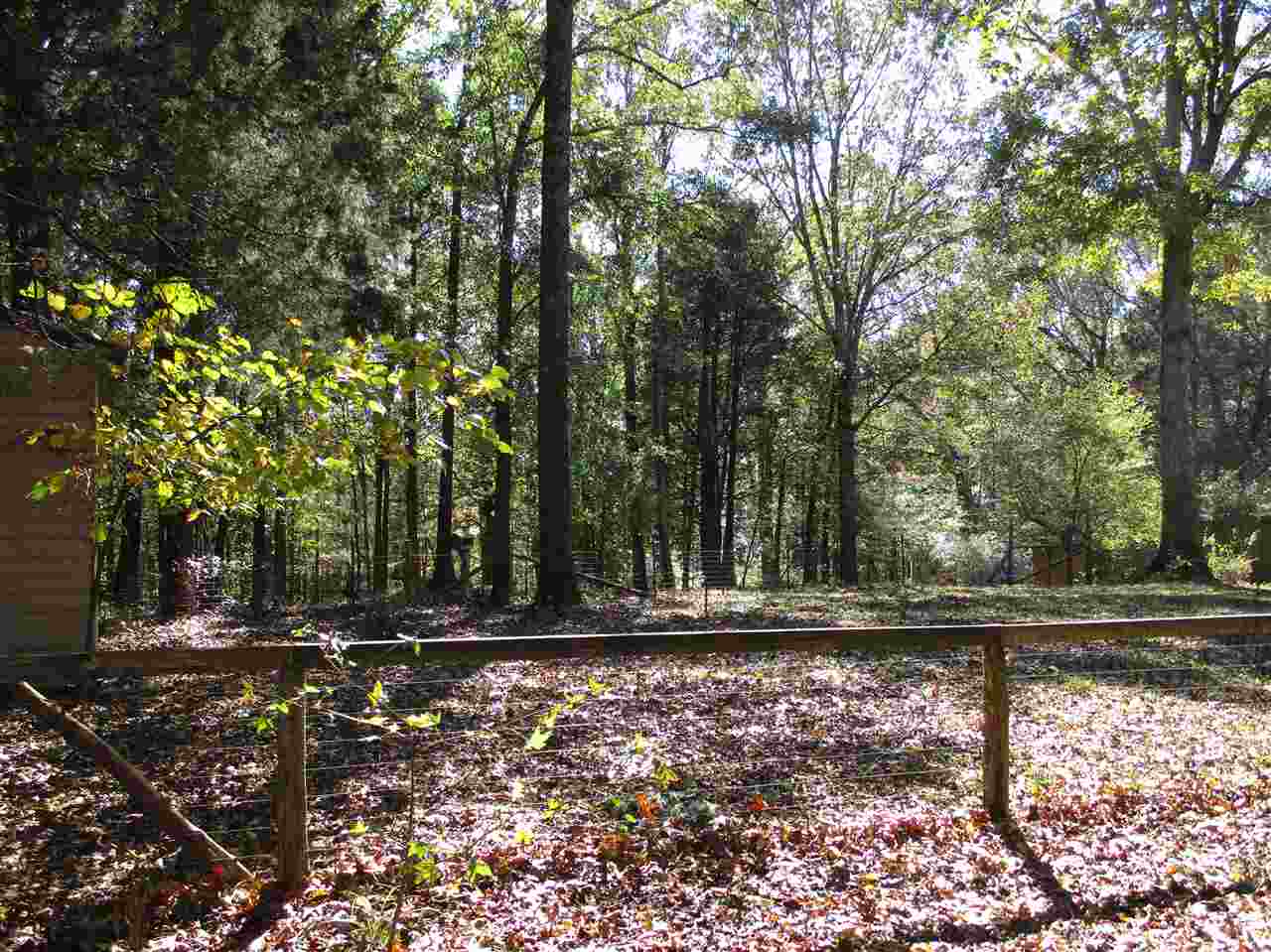 2280 Clifft Road Bolivar, TN 38008 - Photo 8 of 25 Gallery Image 8
