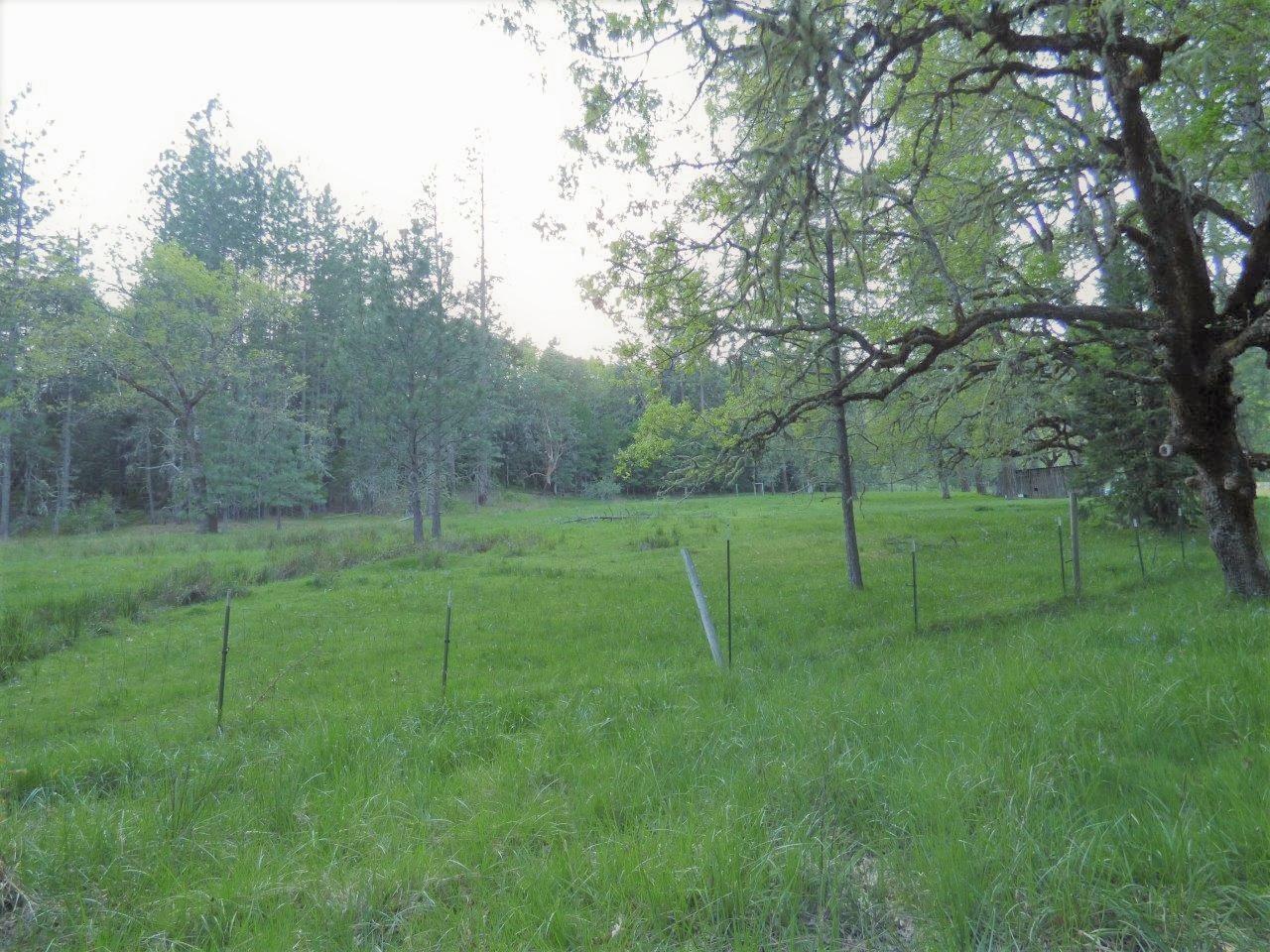6520 Tunnel Loop Road Grants Pass, OR 97526 - Photo 58 of 69 Pasture 2 - Southern Oregon Home