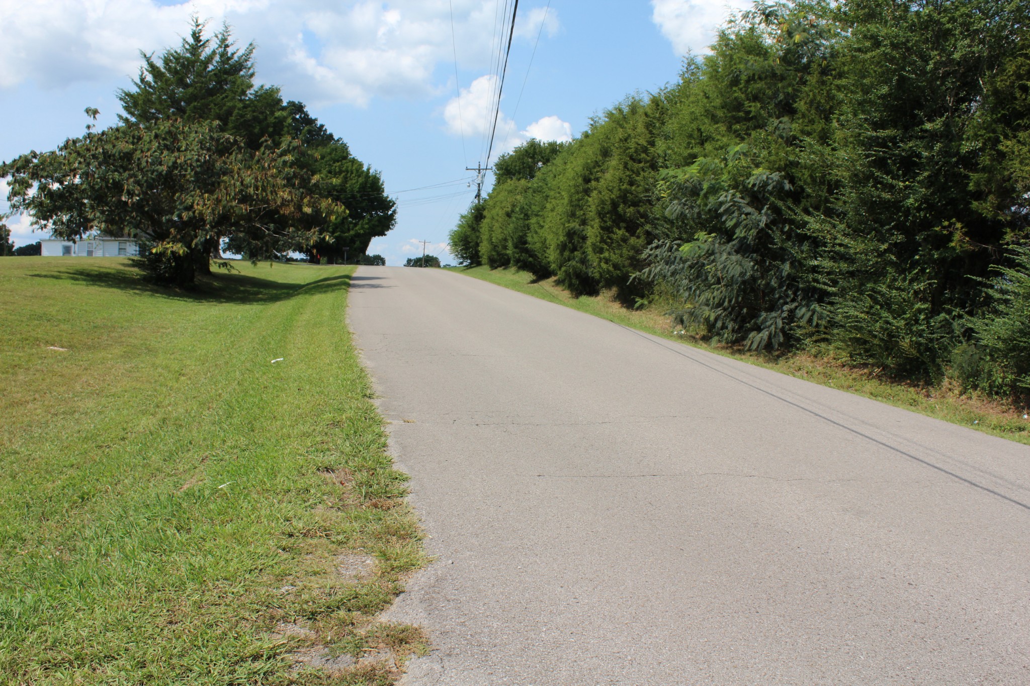 0 Old Stewart Road Tennessee Ridge, TN 37178 - Photo 2 of 5 a view of a yard with a trees