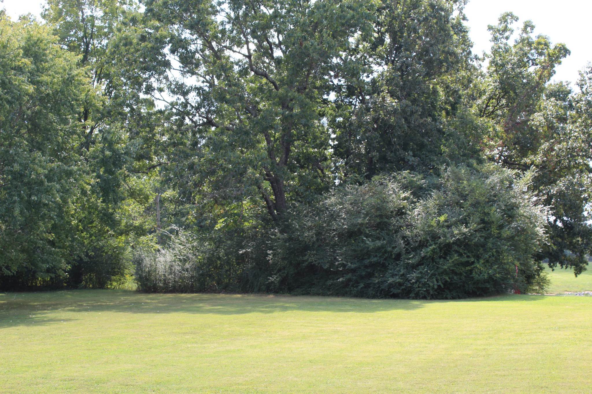 0 Old Stewart Road Tennessee Ridge, TN 37178 - Photo 3 of 5 a view of a swimming pool and an outdoor space