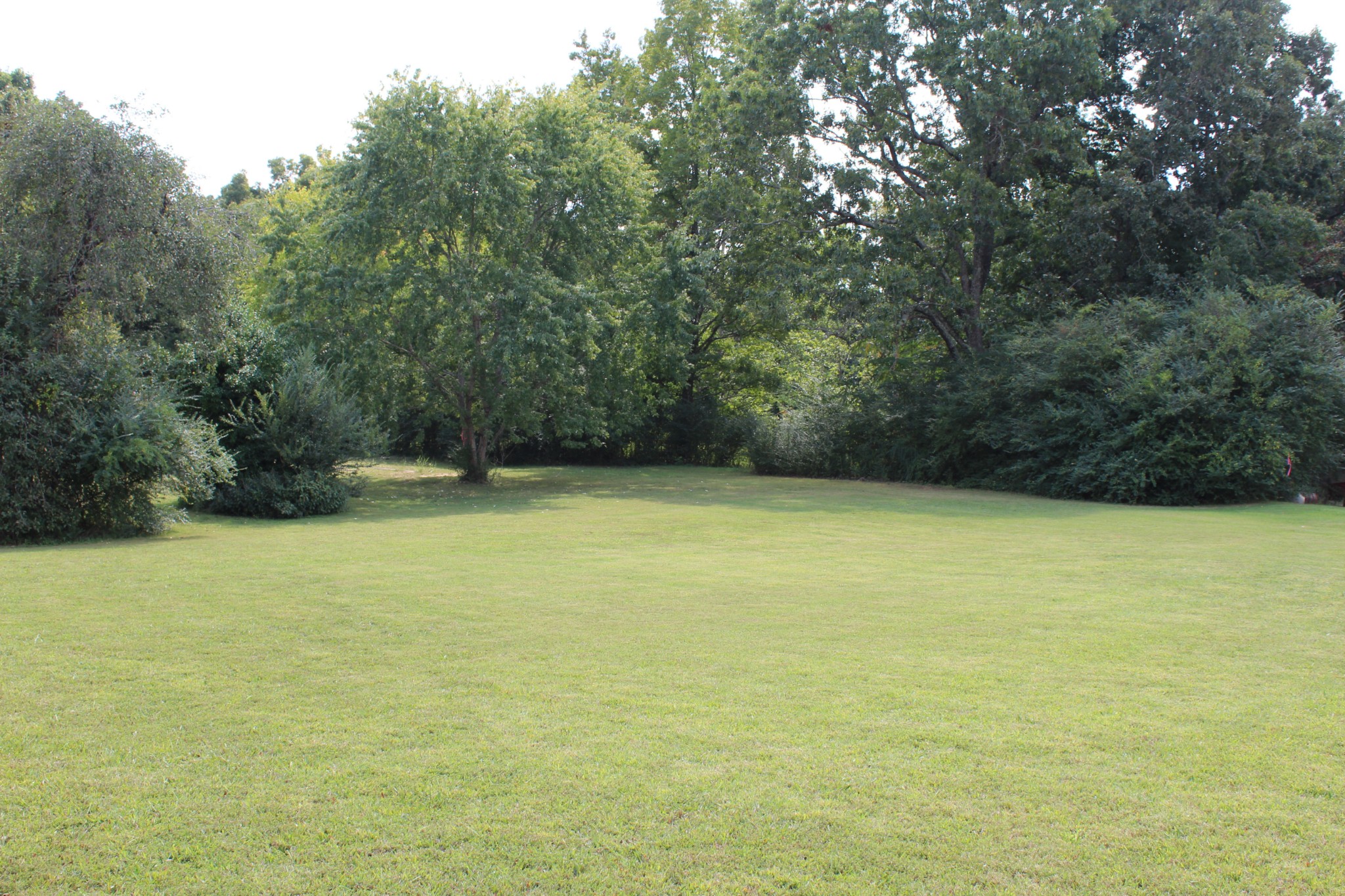 0 Old Stewart Road Tennessee Ridge, TN 37178 - Photo 4 of 5 a view of outdoor space and yard