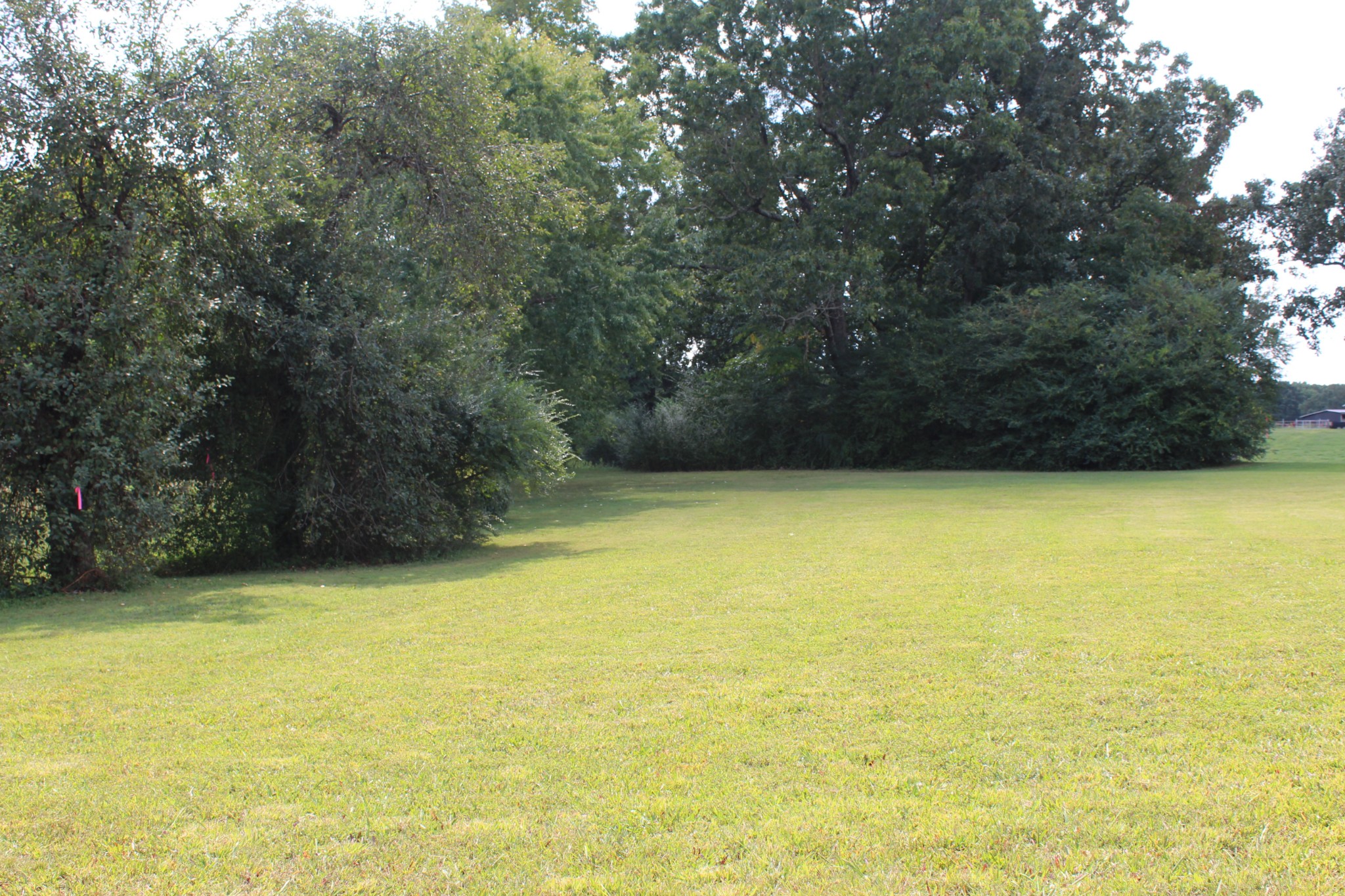 0 Old Stewart Road Tennessee Ridge, TN 37178 - Photo 5 of 5 a view of a swimming pool and an outdoor space