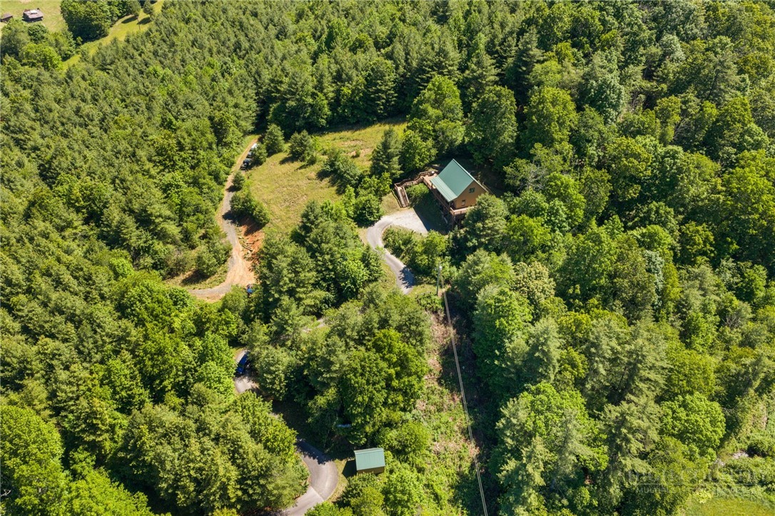 2163 Phillips Gap Road West Jefferson, NC 28694 - Photo 44 of 47