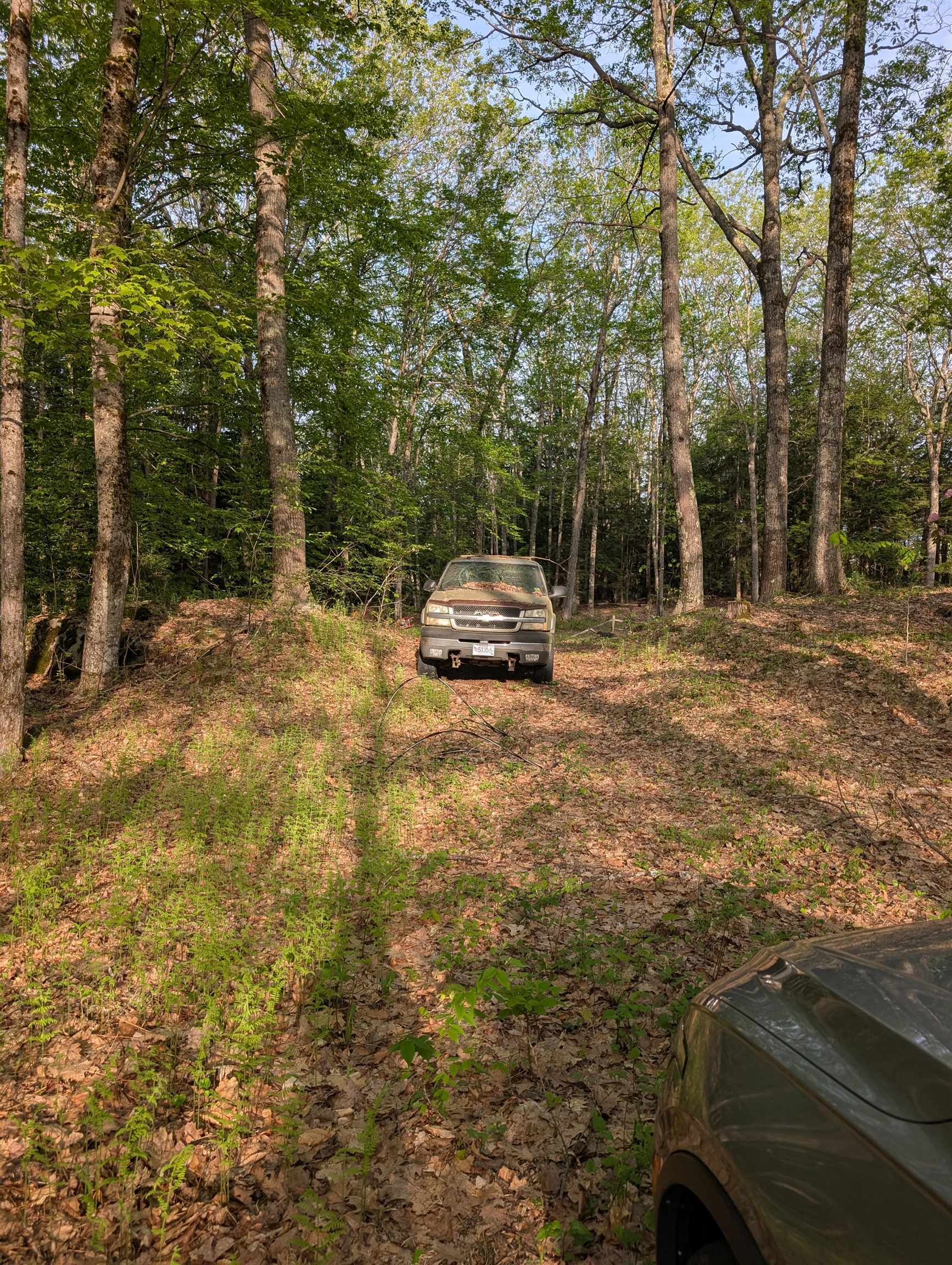 248 West Hill Road Troy, NH 03465 - Photo 6 of 8