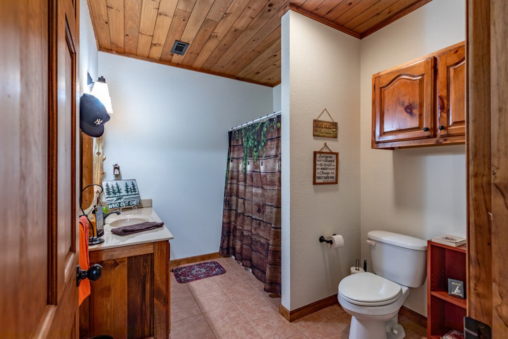 159 Apple Blossom Road Blairsville, GA 30512 - Photo 24 of 56 a bathroom with a toilet a sink and a mirror