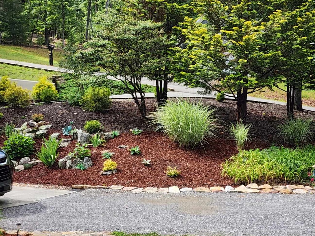 159 Apple Blossom Road Blairsville, GA 30512 - Photo 42 of 56 a view of outdoor space and yard