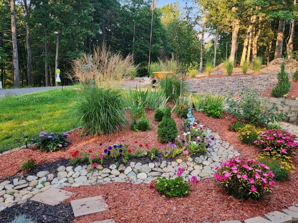 159 Apple Blossom Road Blairsville, GA 30512 - Photo 43 of 56 a view of a garden with plants and large trees