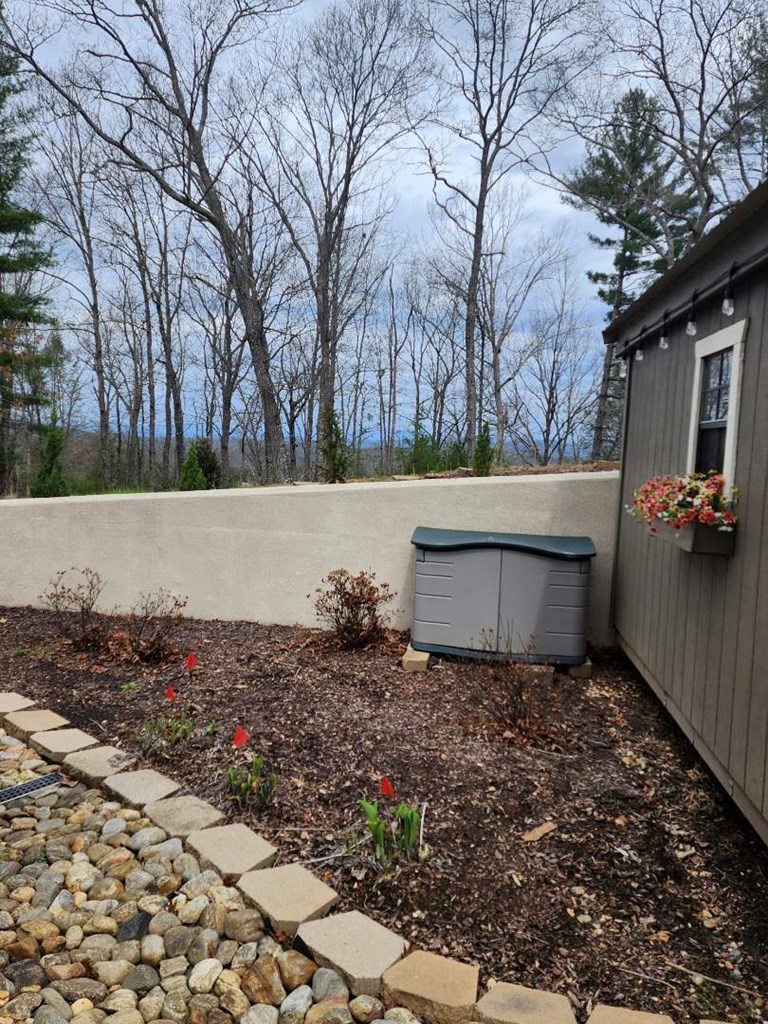 159 Apple Blossom Road Blairsville, GA 30512 - Photo 45 of 56 a backyard of a house with lots of green space