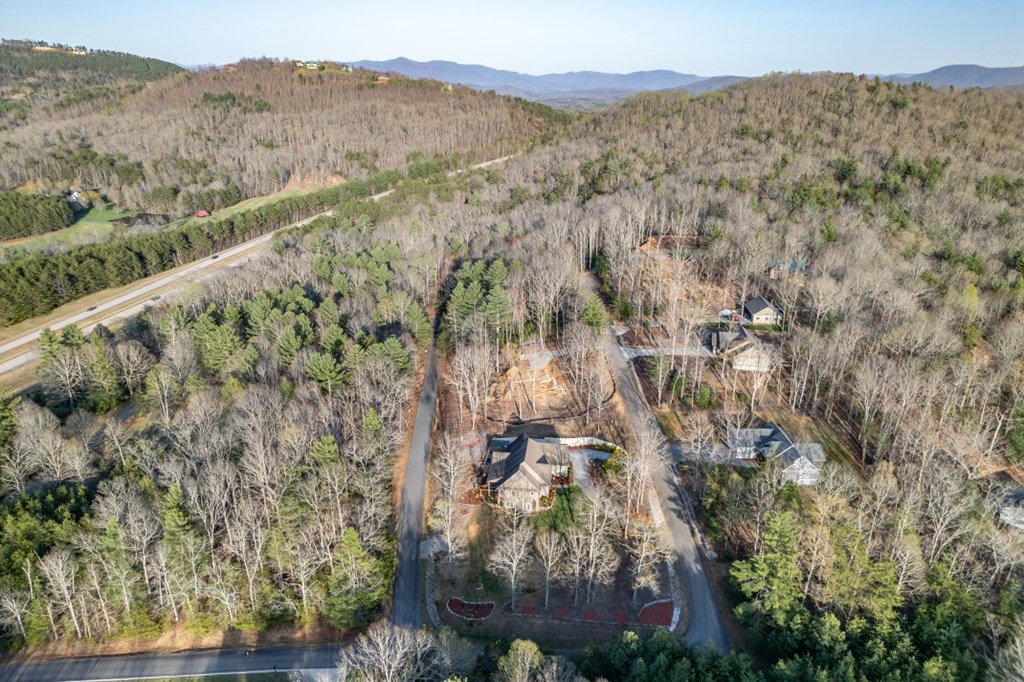 159 Apple Blossom Road Blairsville, GA 30512 - Photo 55 of 56 a view of a forest with a mountain