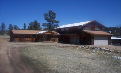 86 Sun Way Bailey, CO 80421 - Photo 1 of 1 Gallery Image 1