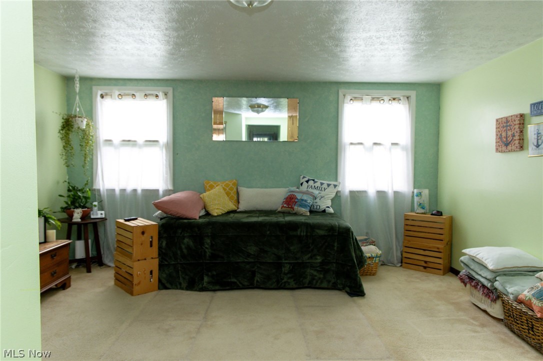 5467 Chapel Road Madison, OH 44057 - Photo 35 of 50 Carpeted interior space featuring two windows with white trim, light green walls, and a textured accent wall