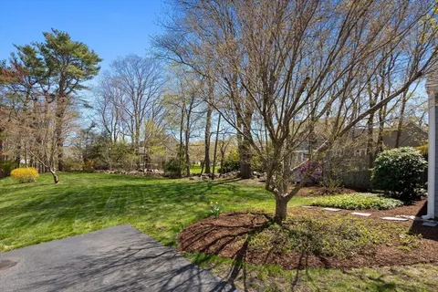 a view of a park with large trees