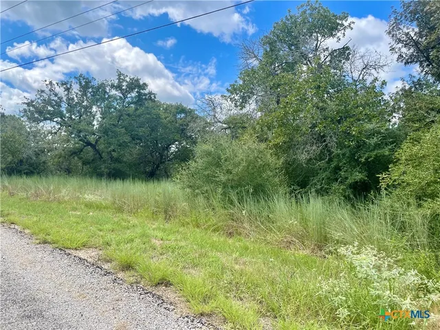 a view of a lake view with a tree