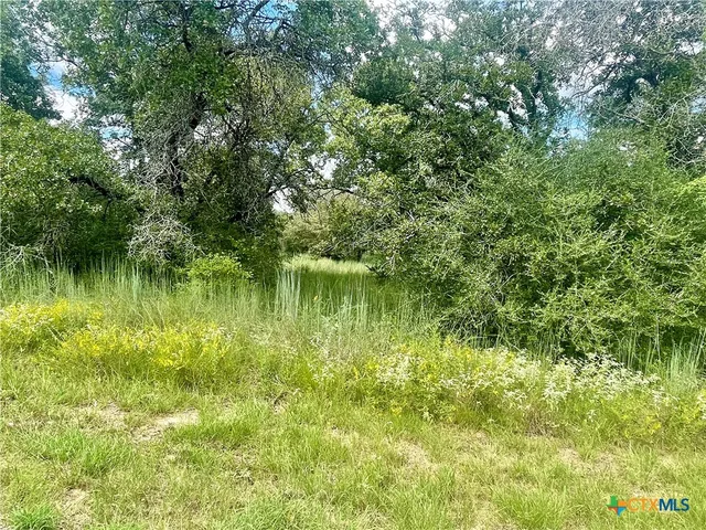 a backyard of a house with yard and outdoor seating