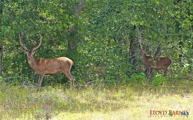 a view of a sign board with lake view