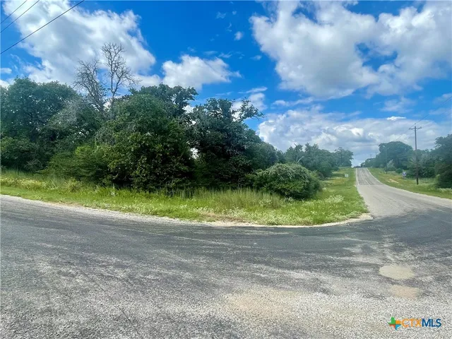 an aerial view of forest