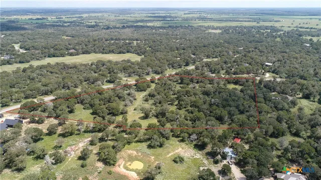 a view of a lake with a forest