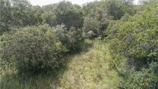a view of a lake with a forest