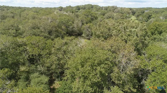 a view of a lake from a yard
