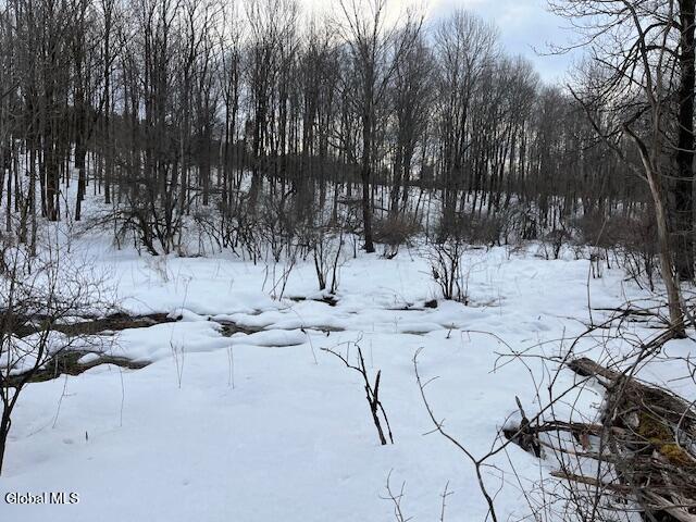 L6 Jordanville Road Ilion, NY 13357 - Photo 11 of 29 IMG_5096