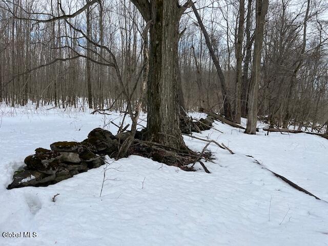 L6 Jordanville Road Ilion, NY 13357 - Photo 21 of 29 IMG_5084