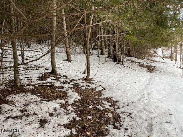 L6 Jordanville Road Ilion, NY 13357 - Photo 24 of 29 IMG_5081