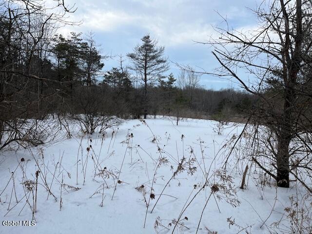 L6 Jordanville Road Ilion, NY 13357 - Photo 6 of 29 IMG_5101