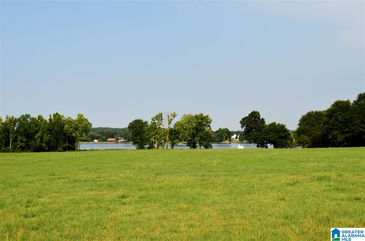 4683 Mcgowans Ferry Road Childersburg, AL 35044 - Photo 2 of 46