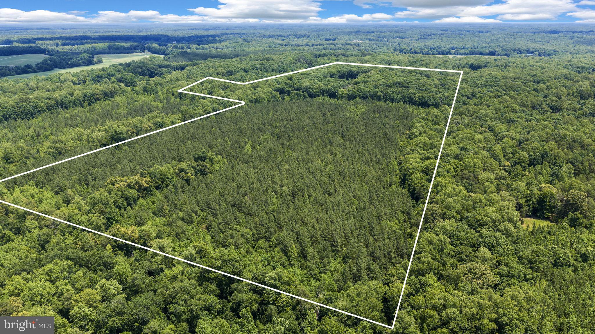 1271 Apple Grove Road Mineral, VA 23117 - Photo 5 of 91 76 acres!