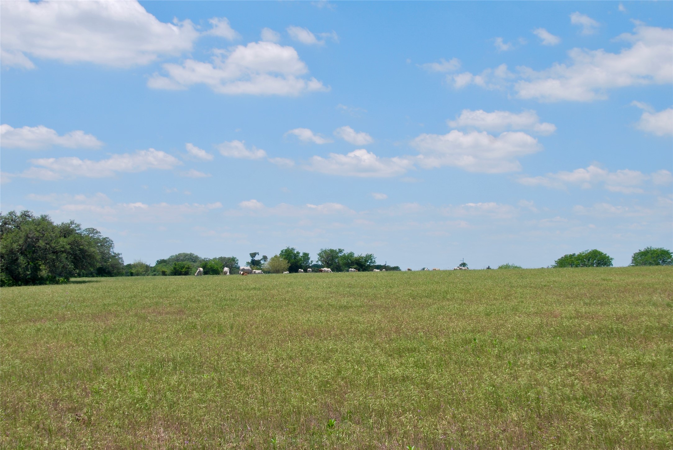 2116 Langdon Road Weimar, TX 78962 - Photo 30 of 43