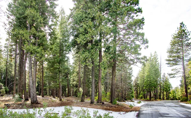 $27,000 | 2 Ritts Mill Road, Shingletown, CA 96088