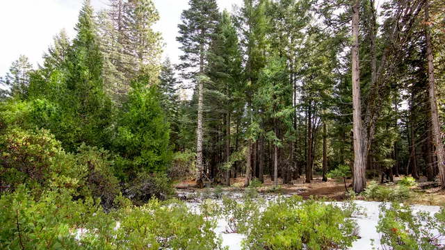 $27,000 | 2 Ritts Mill Road, Shingletown, CA 96088