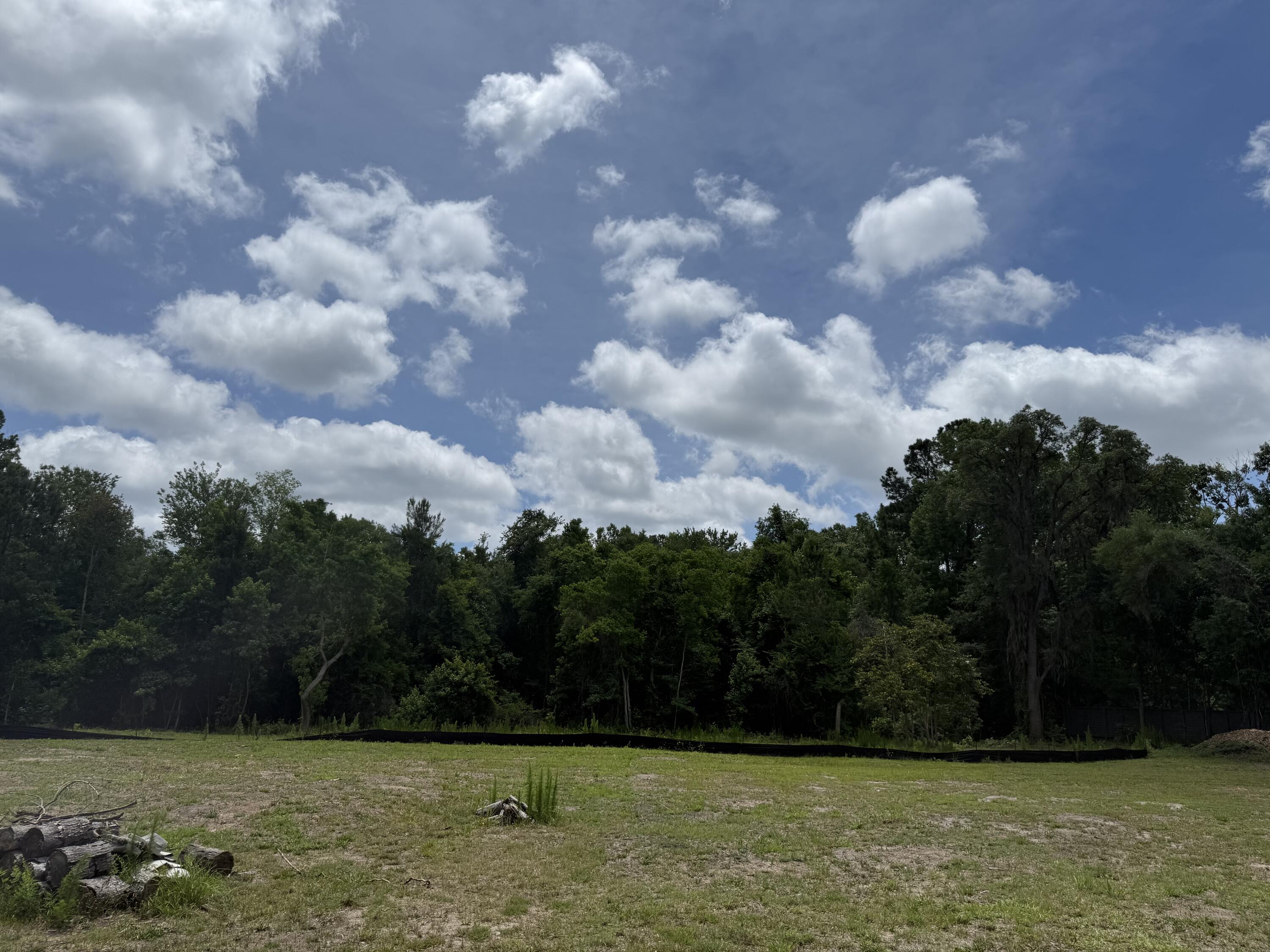 1180 Fulton Hall Lane Mount Pleasant, SC 29466 - Photo 20 of 32 2025-05-30 12.44.30