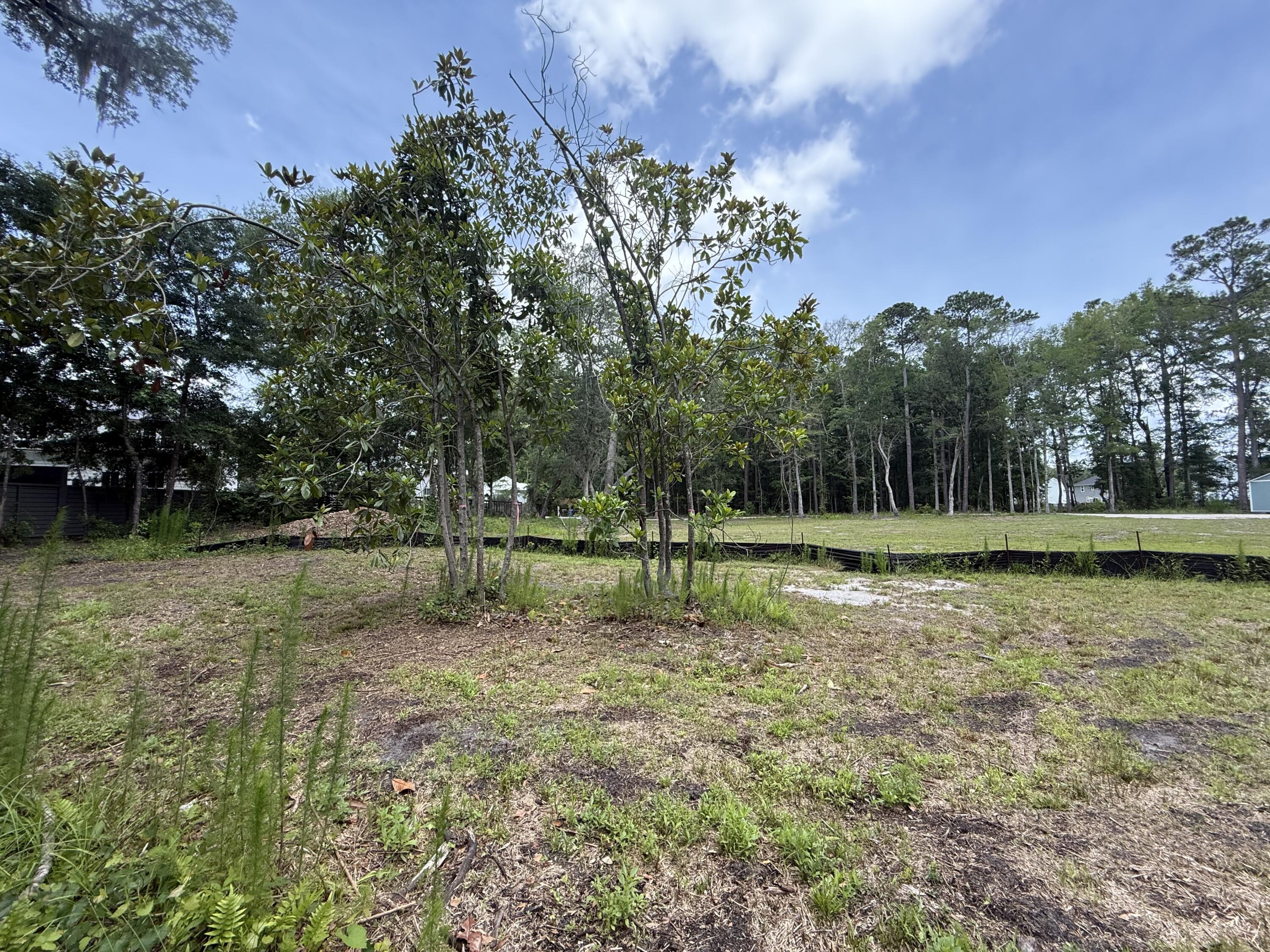 1180 Fulton Hall Lane Mount Pleasant, SC 29466 - Photo 27 of 32 2025-05-30 12.47.43