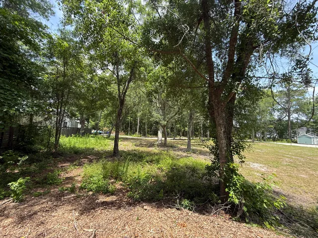 $1,300,000 | 1180 Fulton Hall Lane, Mount Pleasant, SC 29466