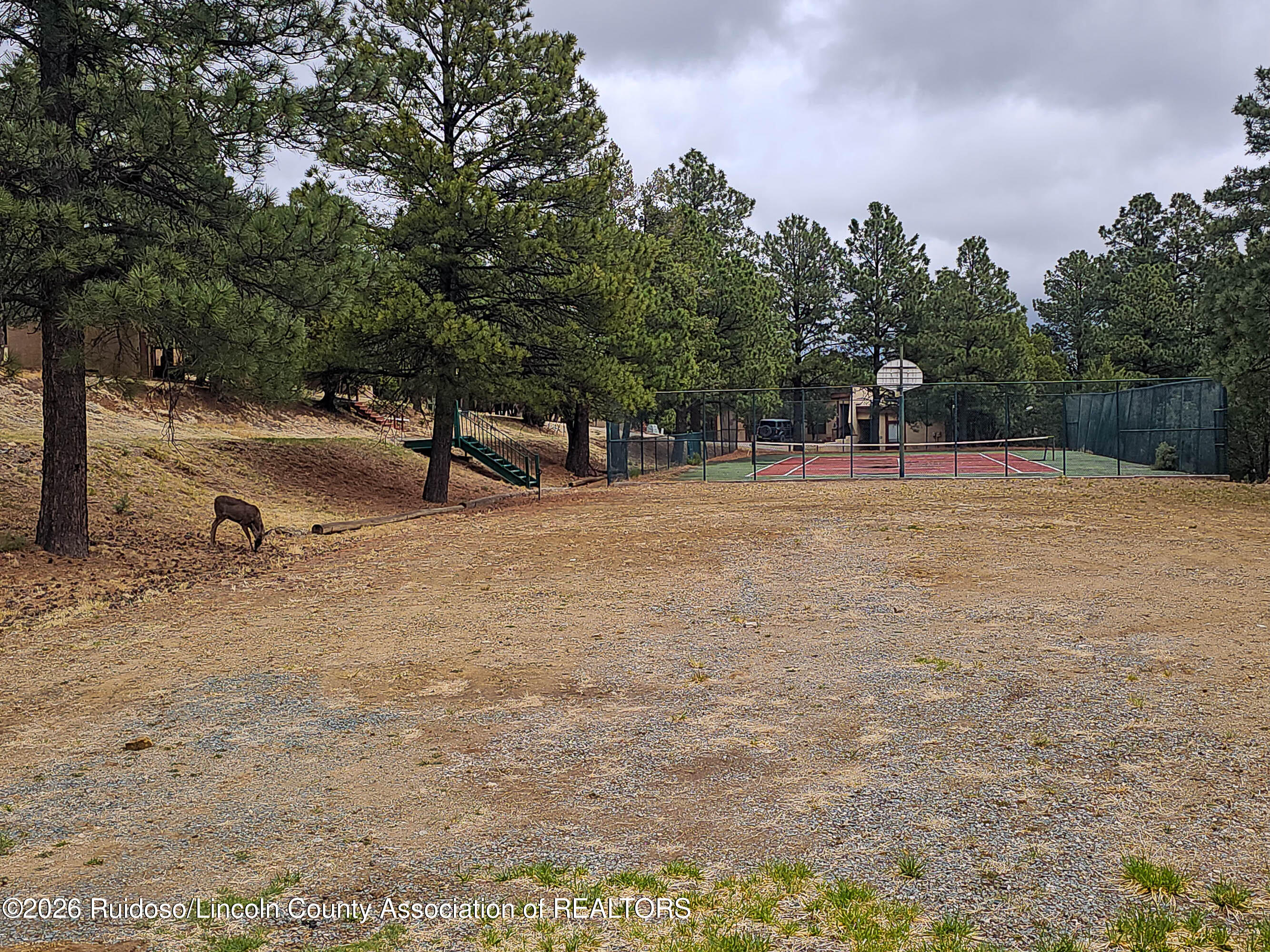 102 Alto Alps Road, Unit 5 Alto, NM 88312 - Photo 33 of 34 Gallery Image 33
