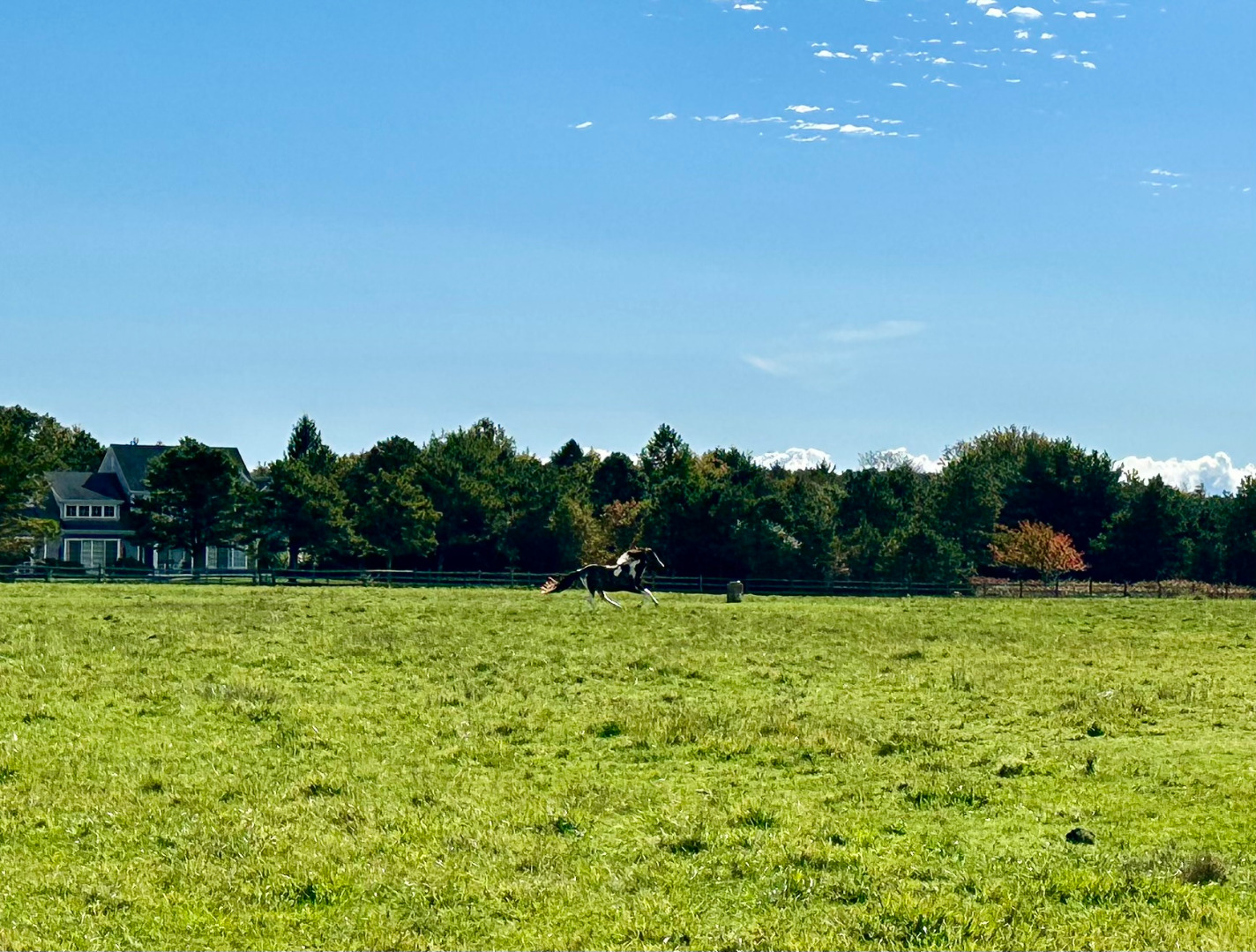 248 Pond Road West Tisbury, MA 02568 - Photo 28 of 34 a view of a big yard with a lake view