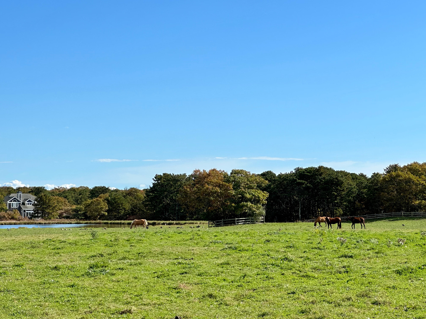 248 Pond Road West Tisbury, MA 02568 - Photo 31 of 34 a view of grassy field with trees