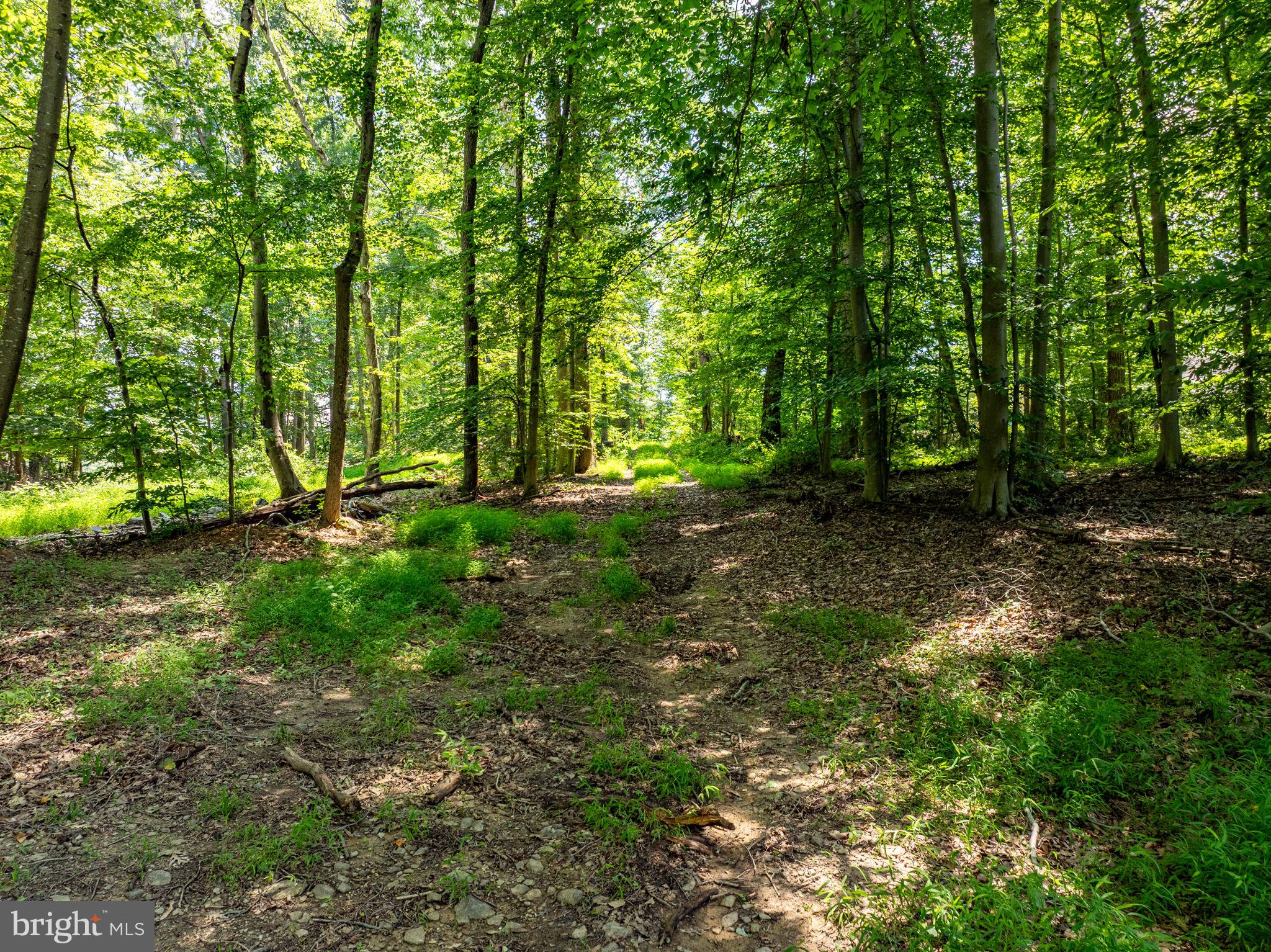 Ridge Road Rising Sun, MD 21911 - Photo 2 of 6 a view of outdoor space with trees all around