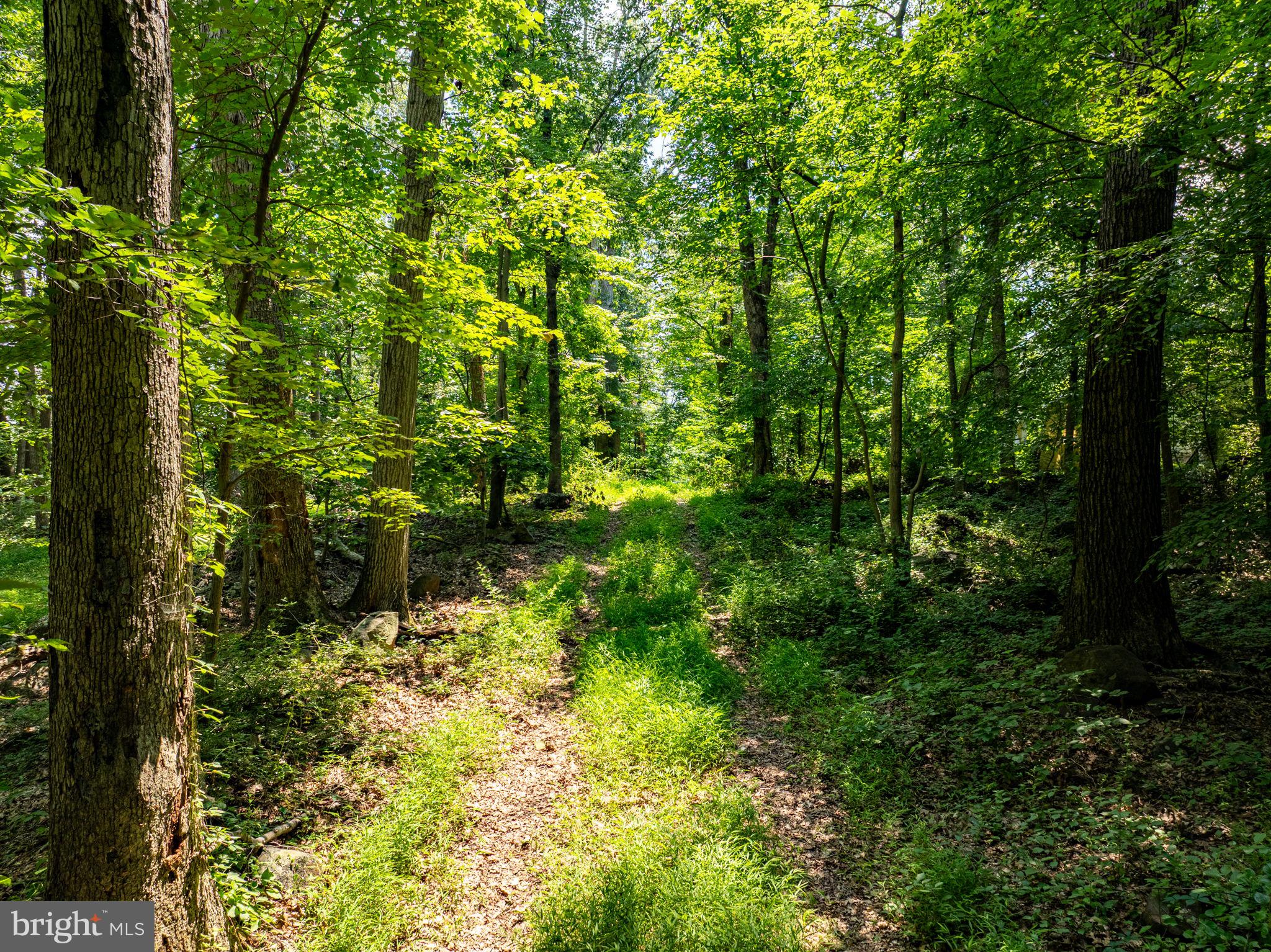 Ridge Road Rising Sun, MD 21911 - Photo 3 of 6 a view of a garden